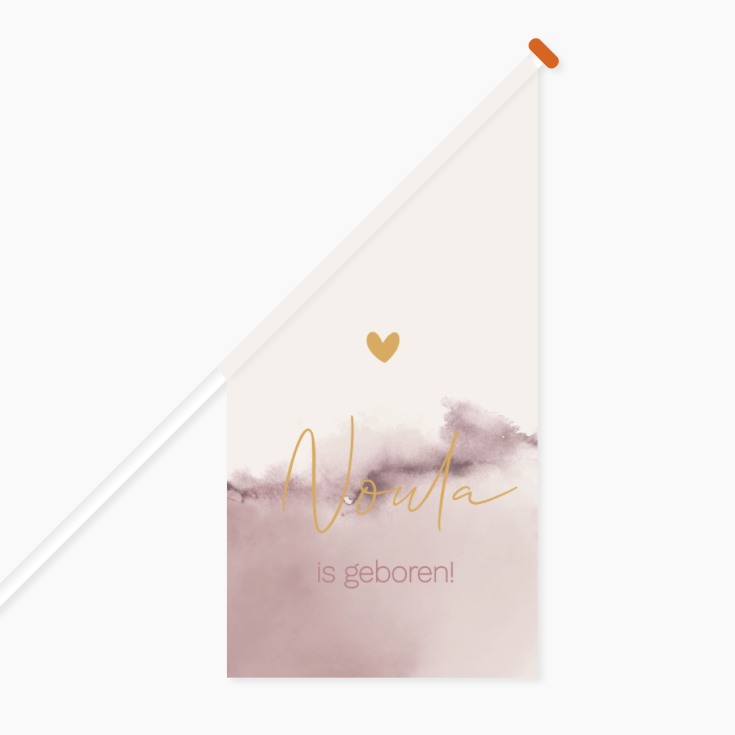 Vlag Klein Roze Gewolkt Hartje