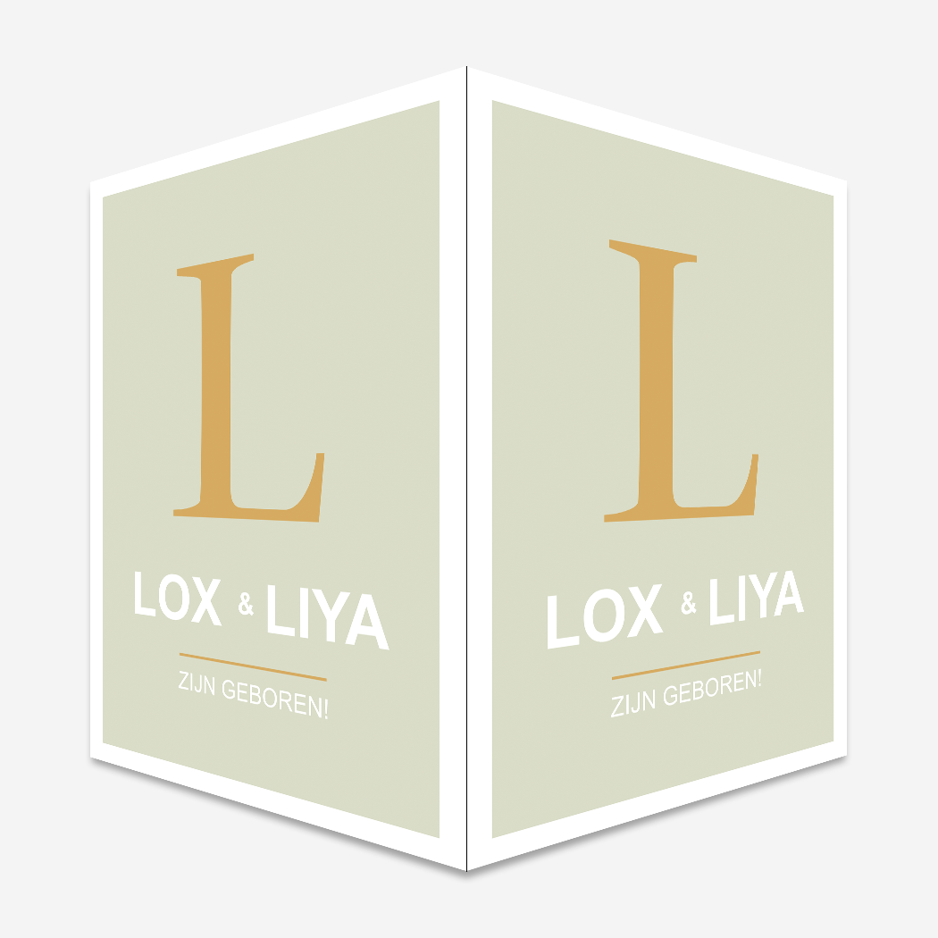 Raambord Geboortebord Mintgroen Trendy Tweeling