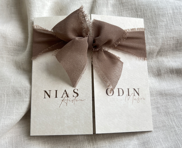 Geboortekaartje Tweeling Luikkaartje Lint Strik Velvet