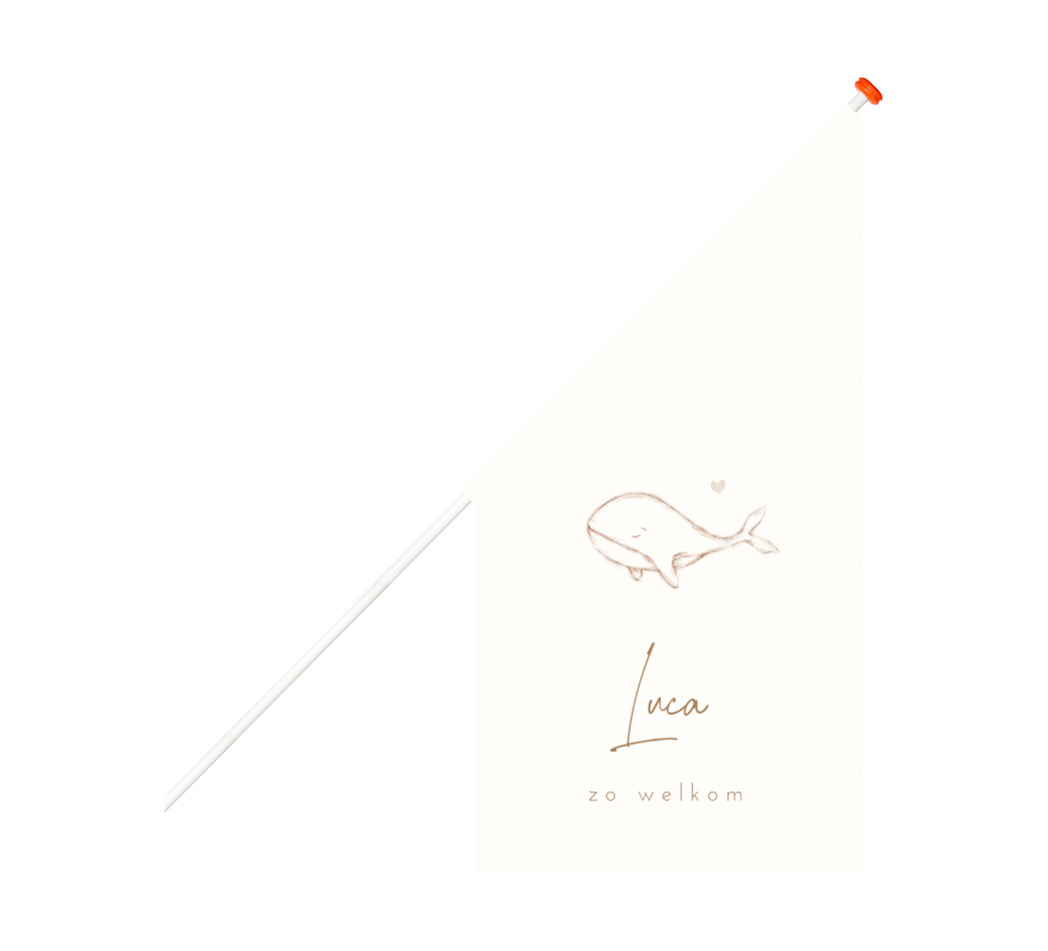 Geboortevlag met illustratie walvis