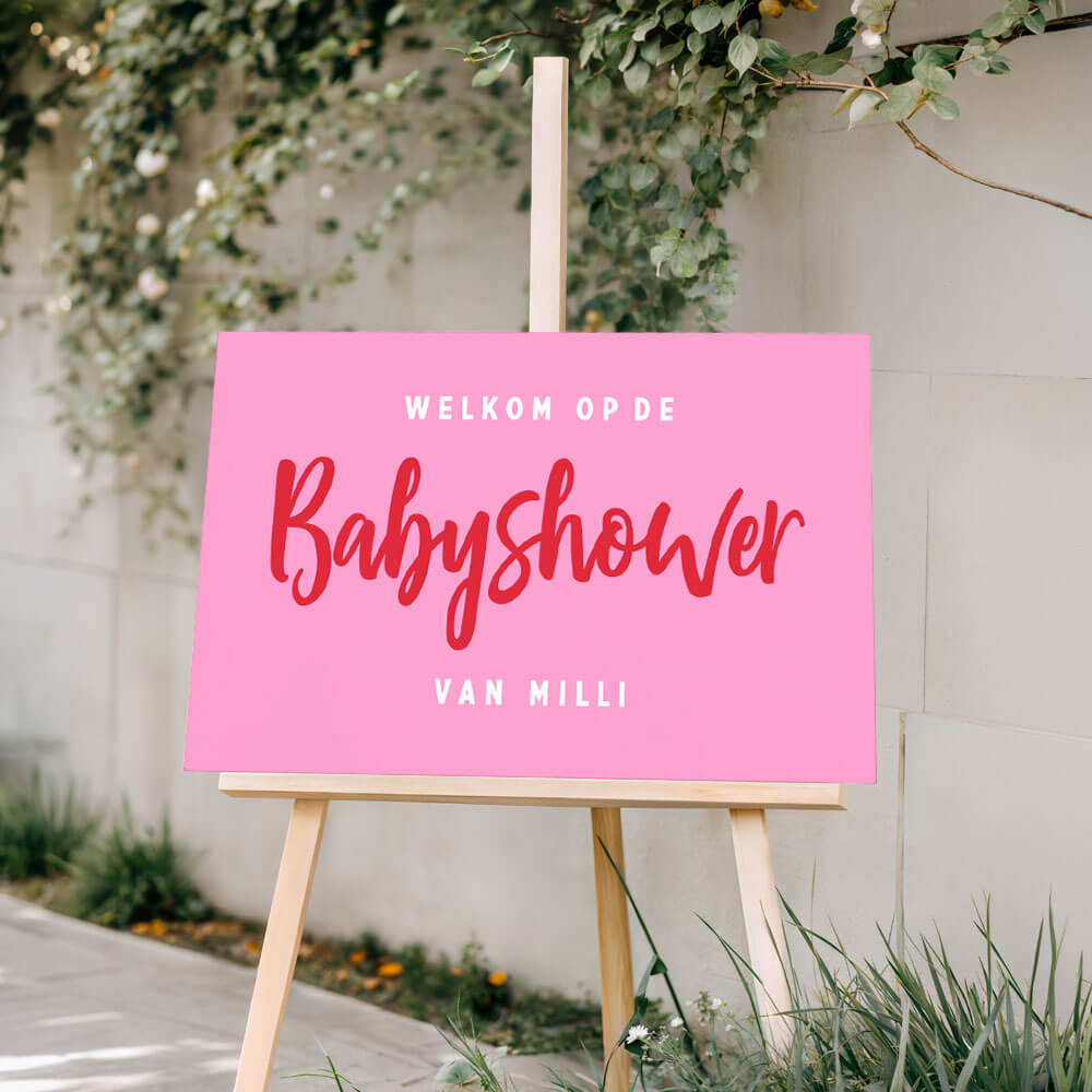 Welkomstbord babyshower felle kleuren voor een meisje