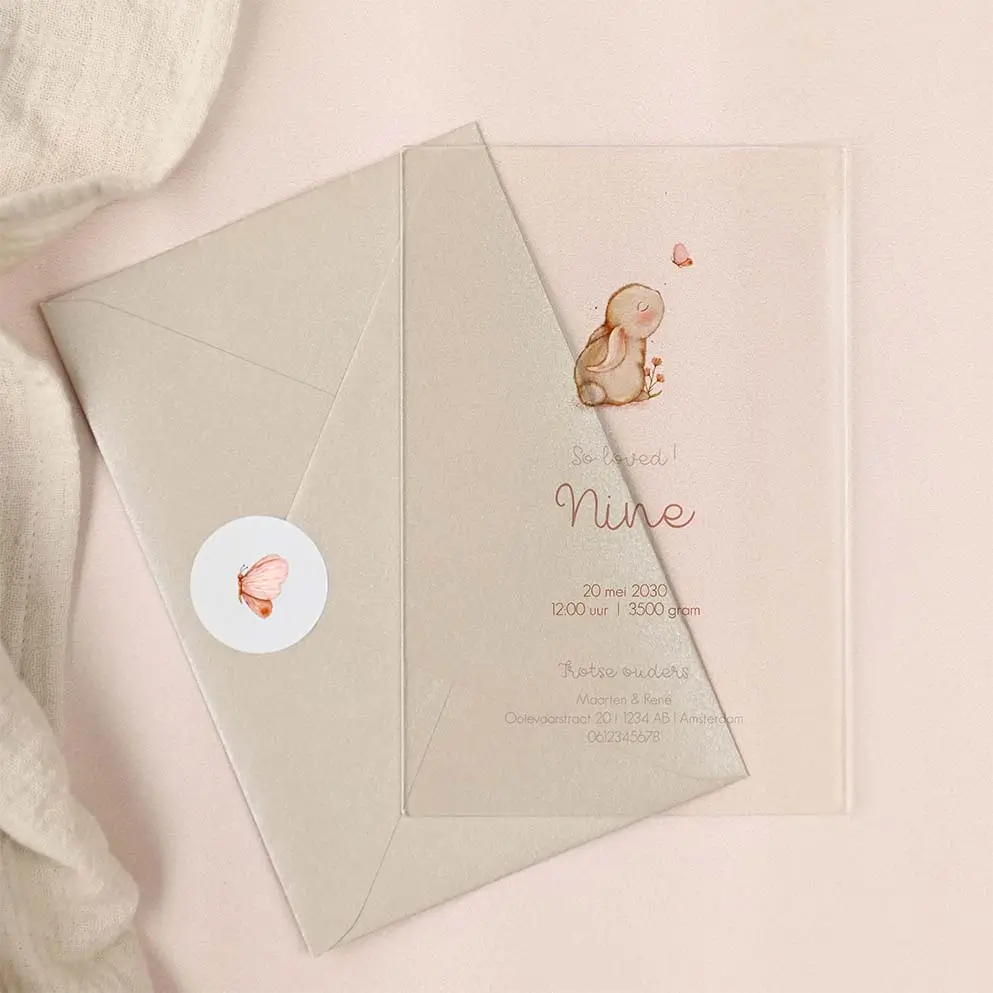 Acryl geboortekaartje met konijntje en vlindertje