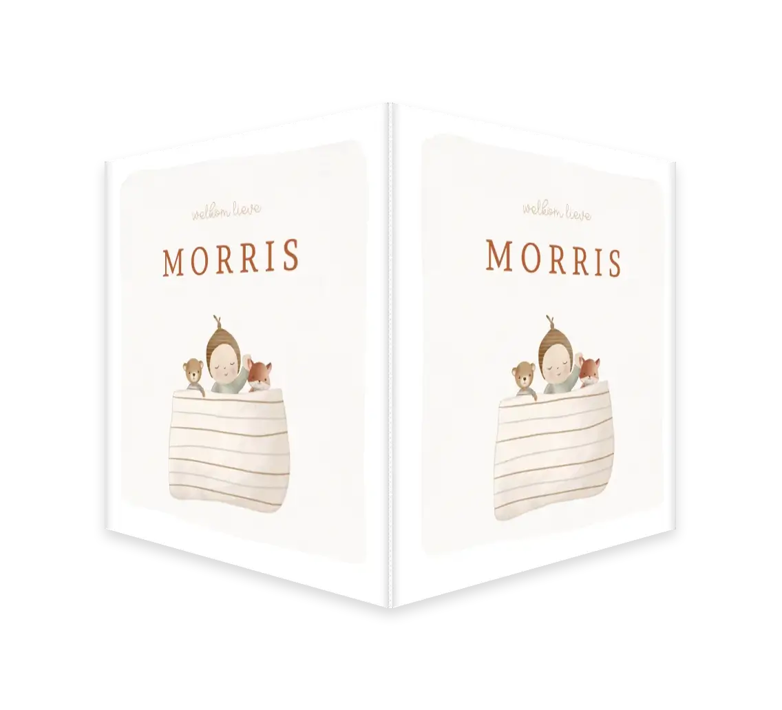 Raambord met baby en knuffels