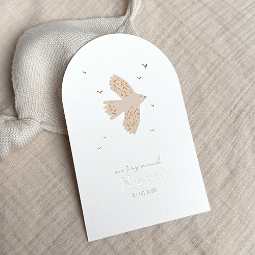 Geboortekaartje meisje met vogel en hartjes in foliedruk