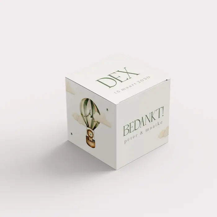 Doopsuiker doosje met luchtballon en leeuwtje