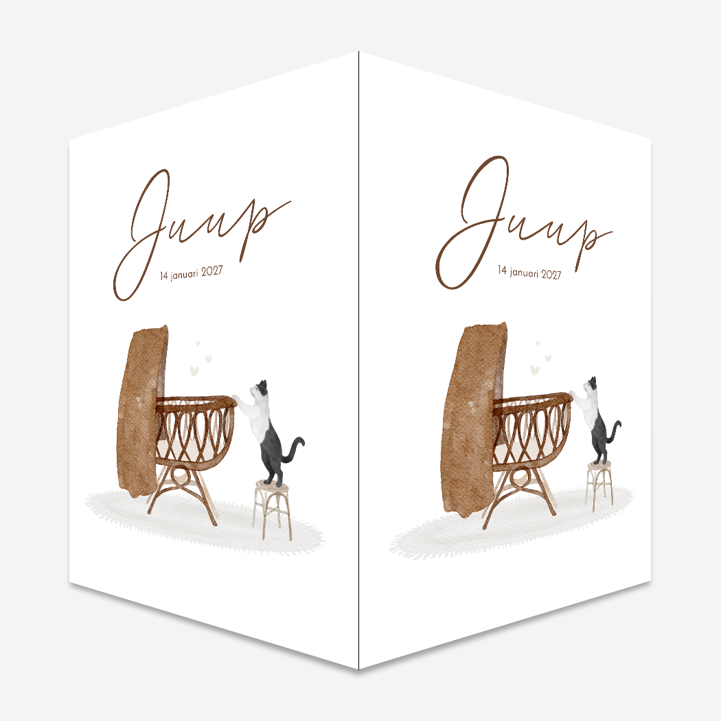 Raambord Kat Poes Wiegje Jongen