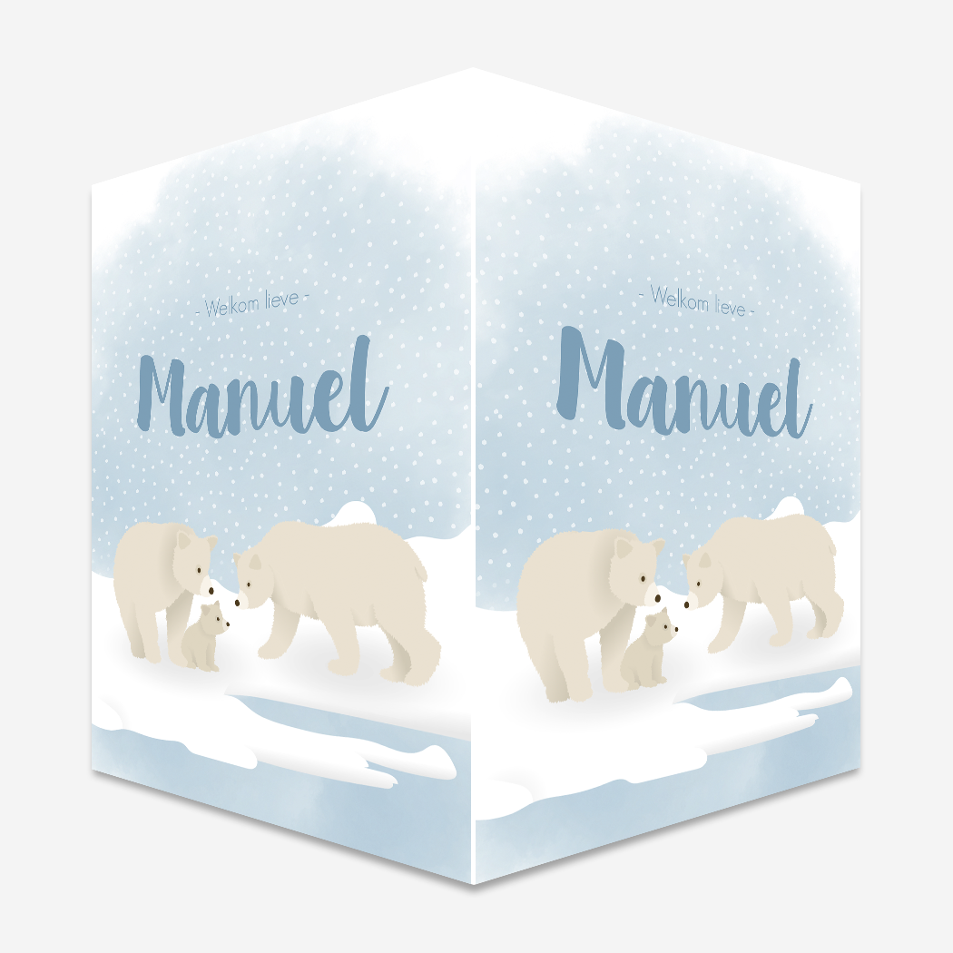 Raambord IJsberen Sneeuw