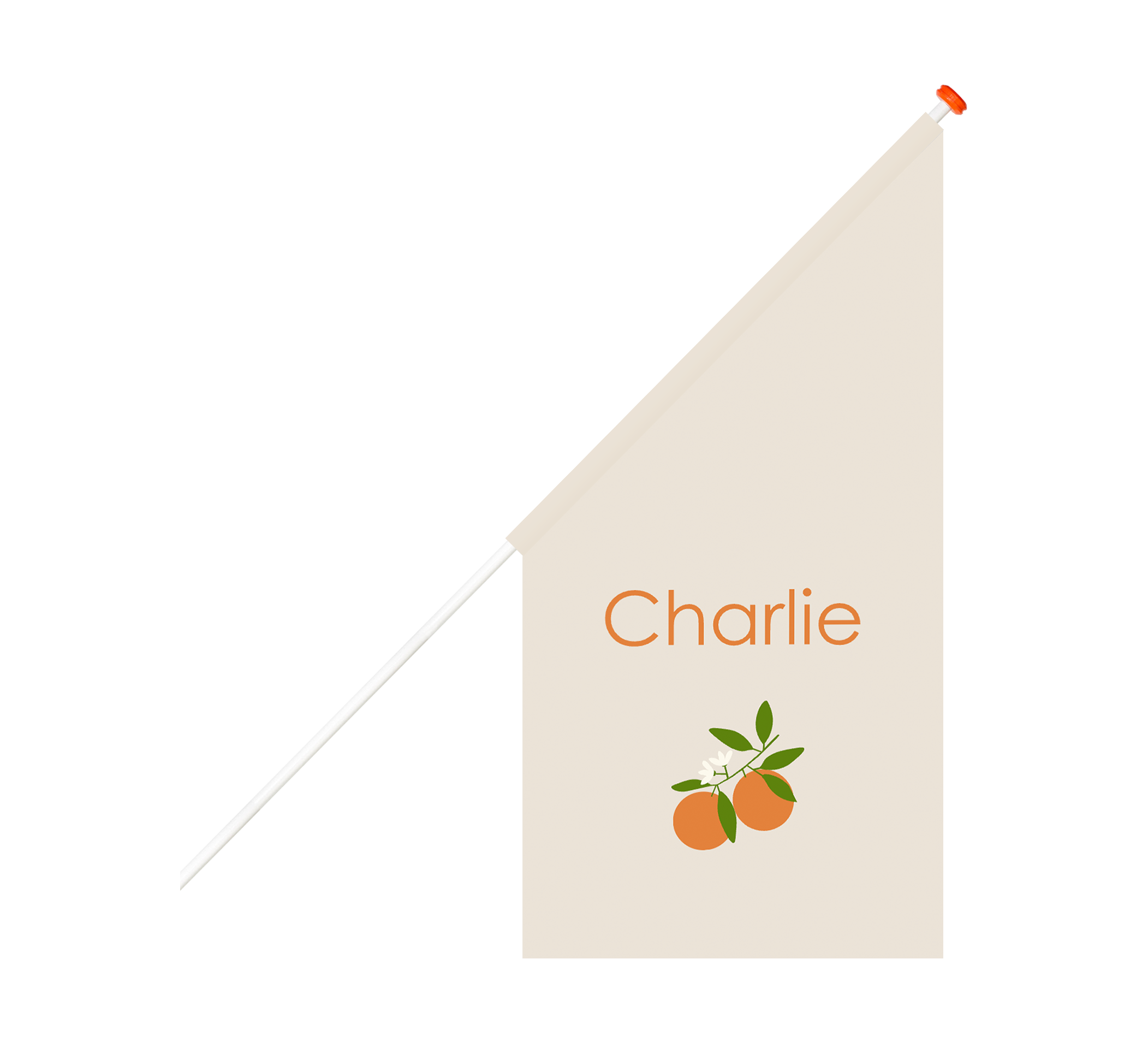 Neutrale geboortevlag met sinaasappel