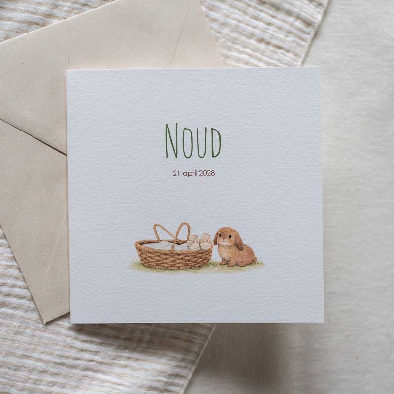 Geboortekaartje jongen wiegje bruin konijntje