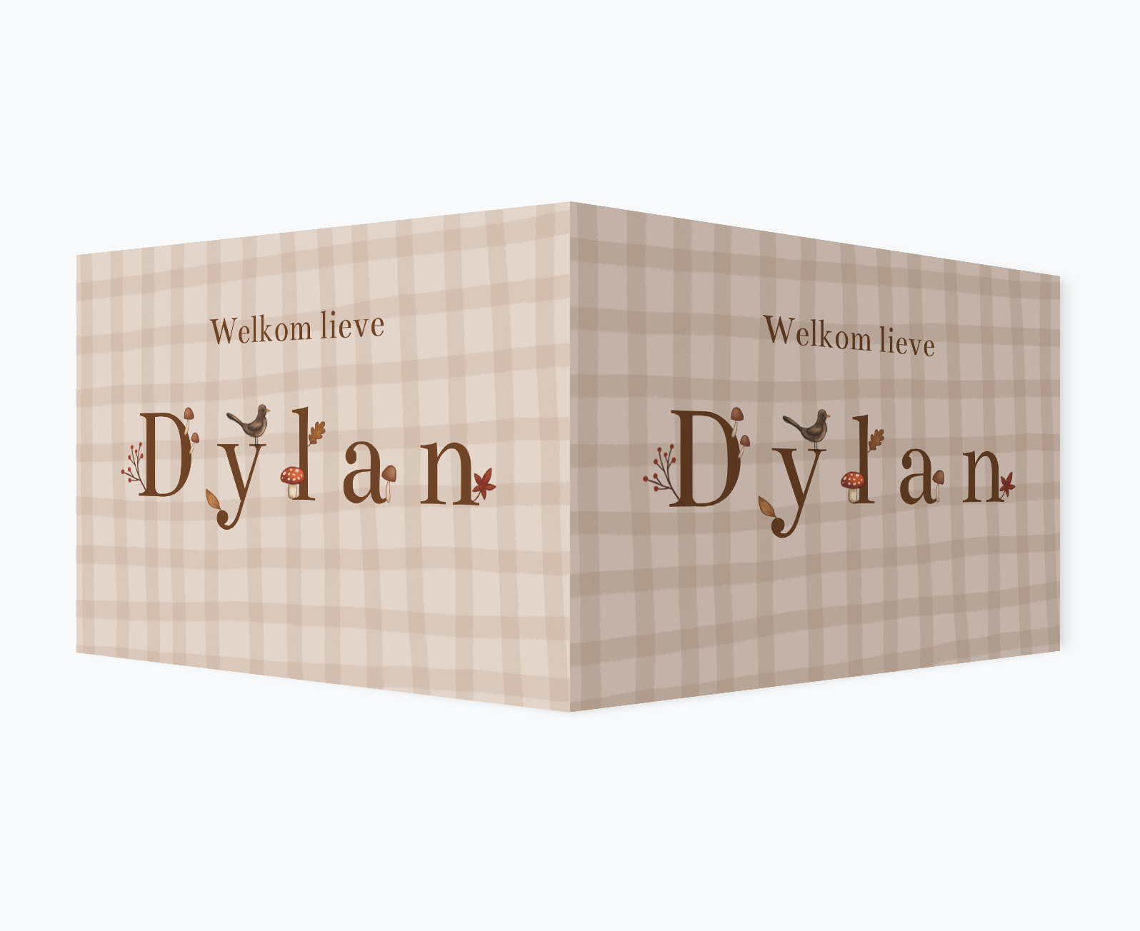 Raambord herfst met naam ruitjes