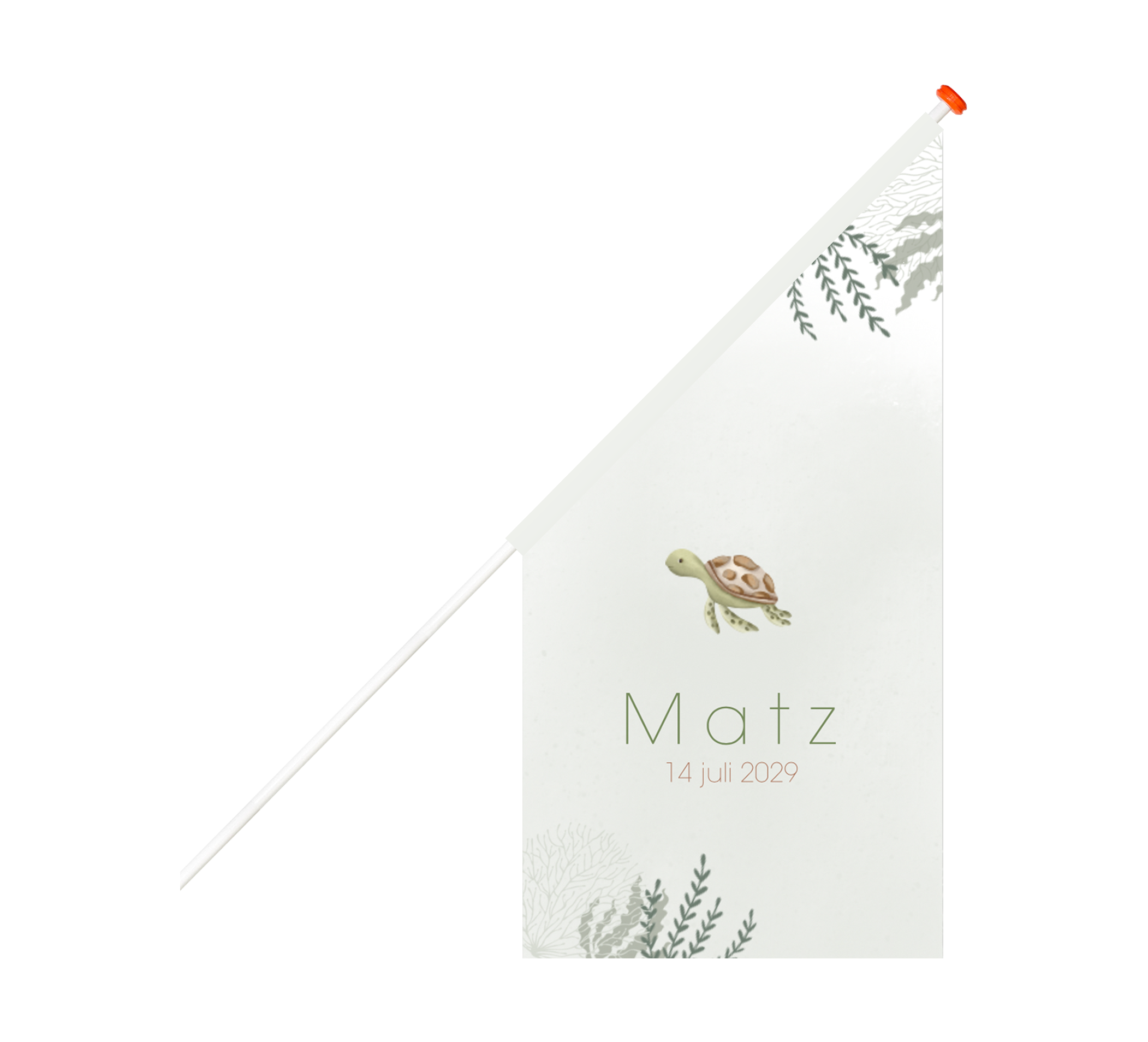Avontuurlijke vlag met zeeschildpadje en zeeplanten