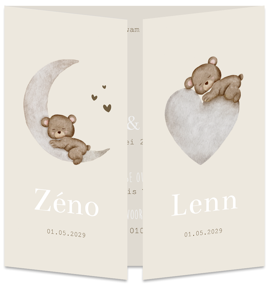 Geboortekaartje Tweeling Teddybeertje Luikkaartje Hartjes