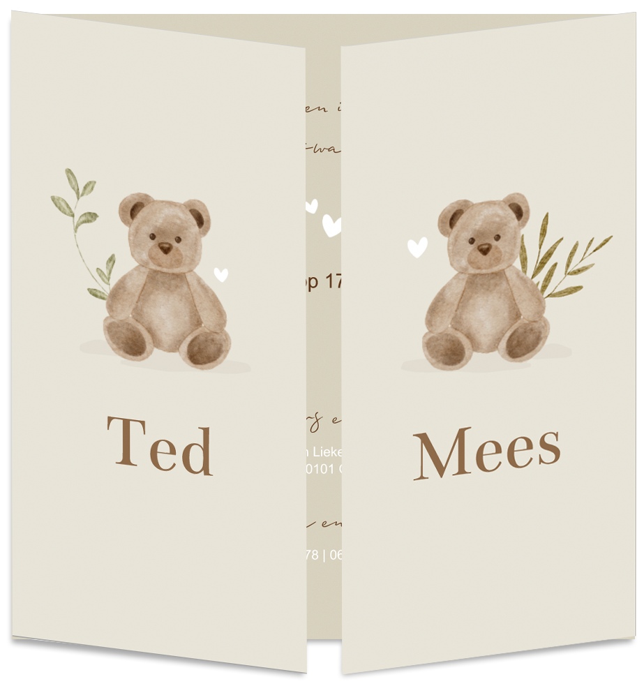 Geboortekaartje Tweeling Luikkaartje Teddybeer
