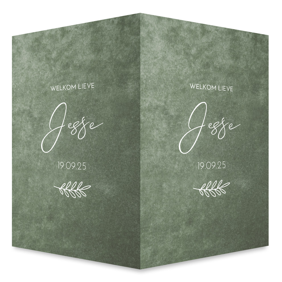 Geboortebord jongen groen velvet takje