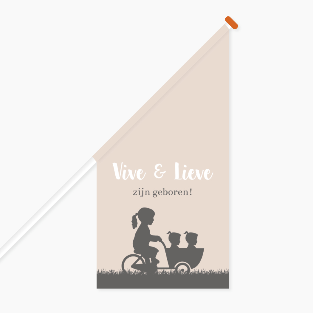Vlag Geboorte Tweeling Bakfiets Zusjes