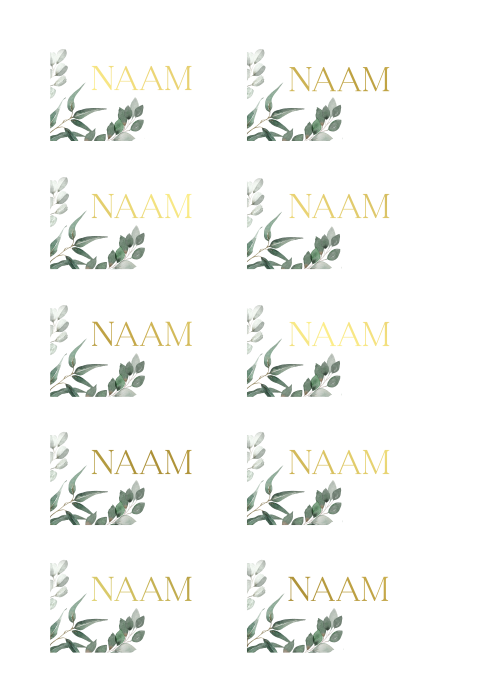 Elegante naamkaartjes bruiloft botanisch met goudfolie