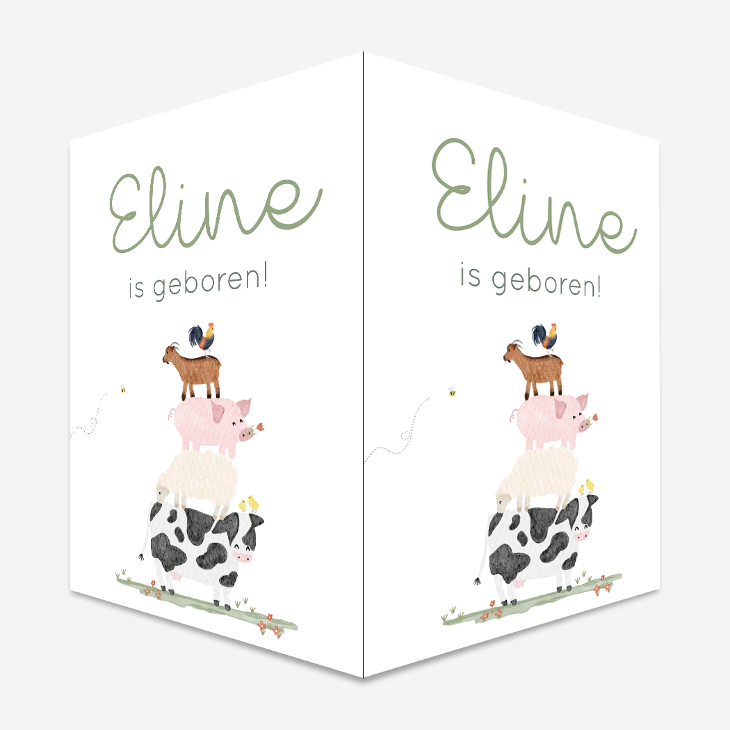 Raambord Boerderij Koe Dieren Varken