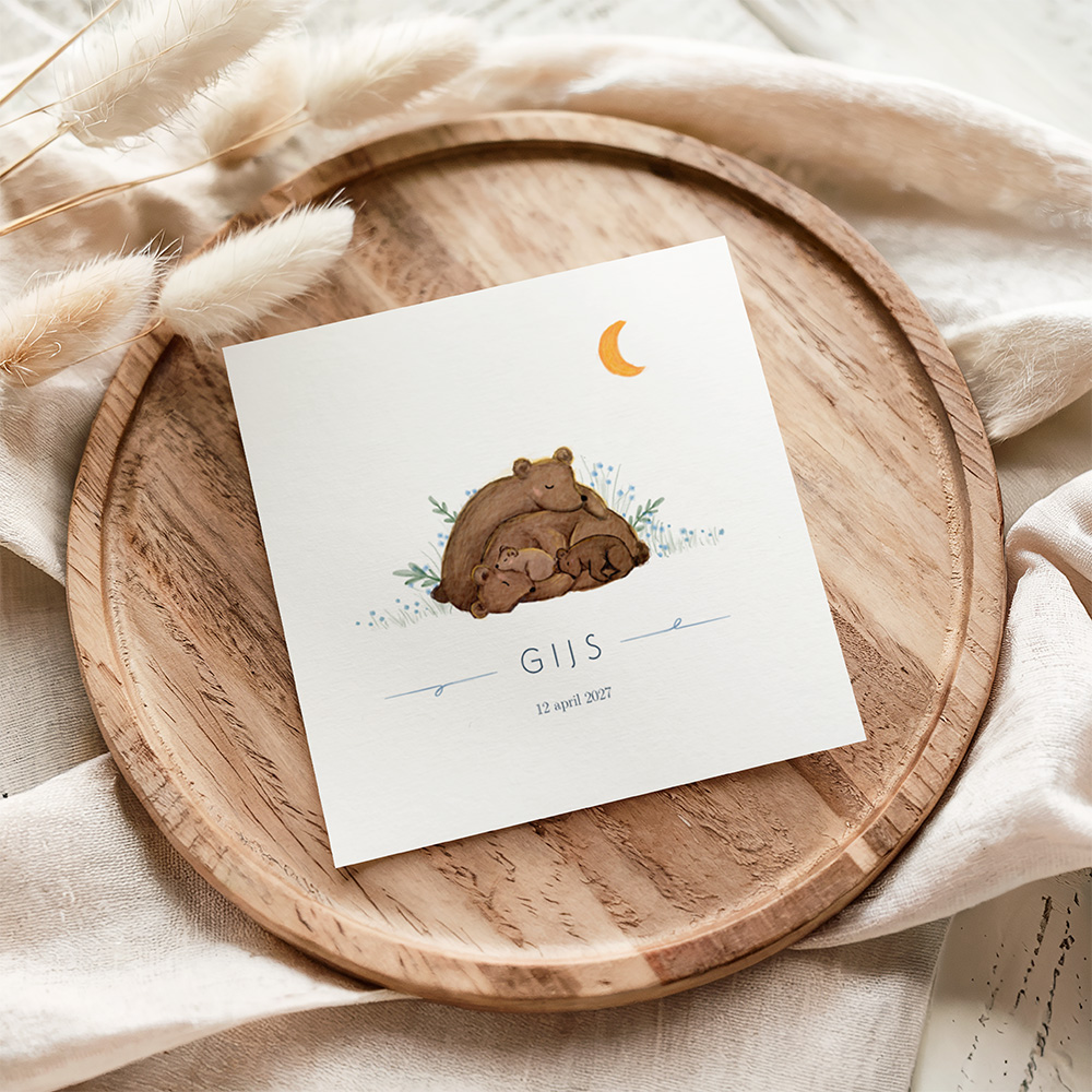 Geboortekaartje met slapende beertjes - jongen