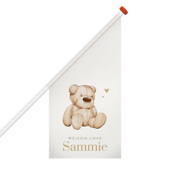 Lief teddybeer geboortevlag genderneutraal