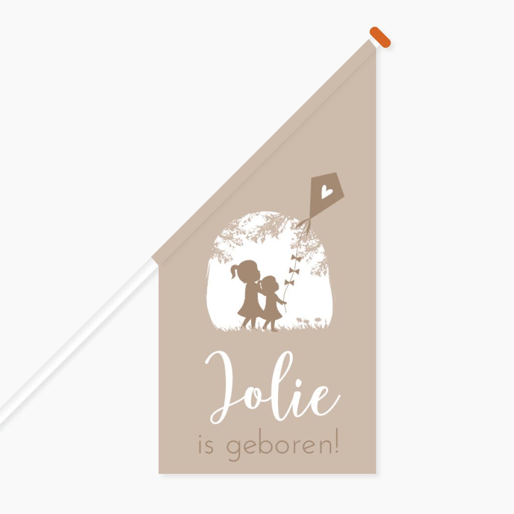 Vlag Geboorte Roze Vliegeren Zusjes