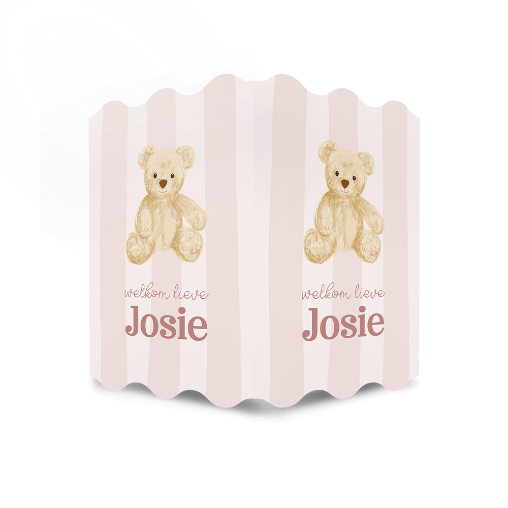 Geboorte raambord roze gestreept met lieve teddybeer
