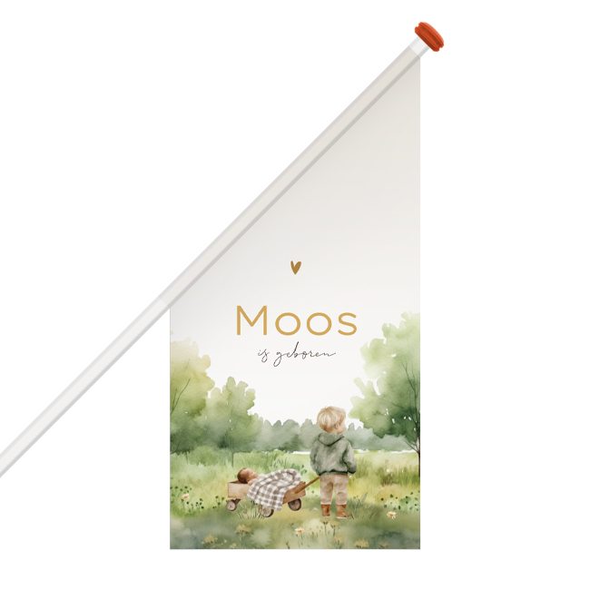 Geboortevlag aquarel getekend voor een jongen met broertje en kar