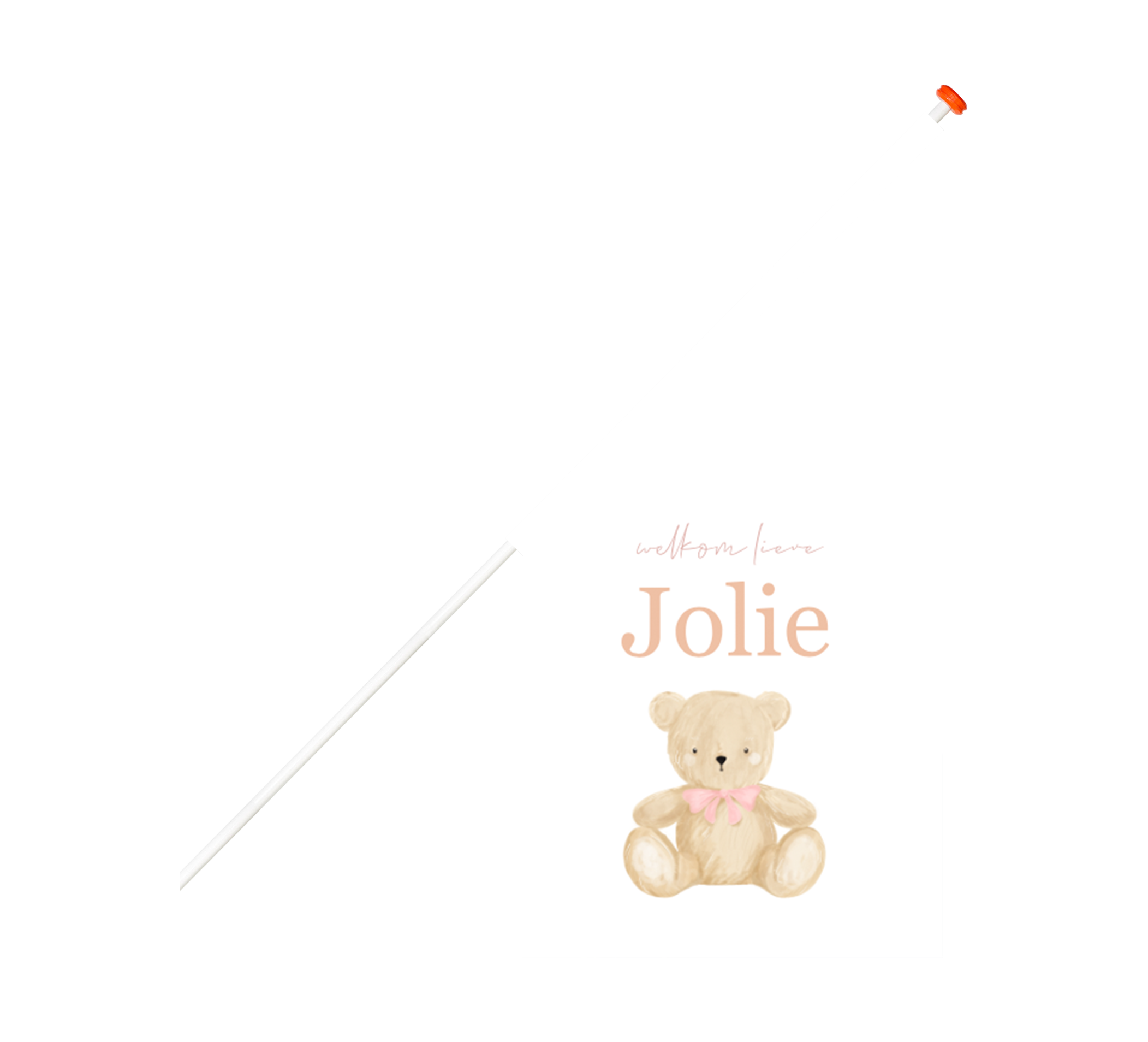 Lieve geboortevlag meisje met teddybeer