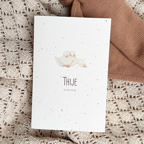 Duurzaam geboortekaartje jongen met gansje op echt tulpen papier