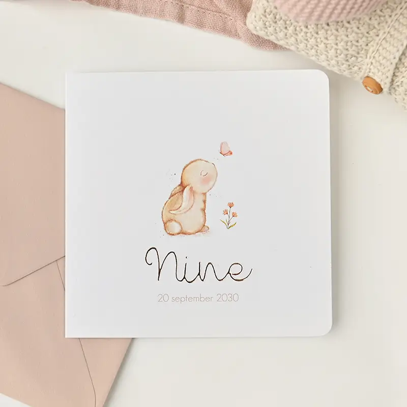 Lief geboortekaartje meisje met illustratie konijntje en vlinder