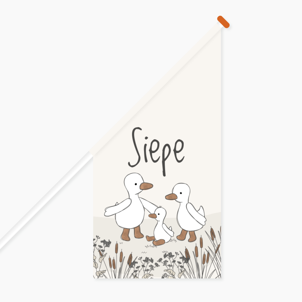 Vlag Ganzen Dieren Geboorte Eendje