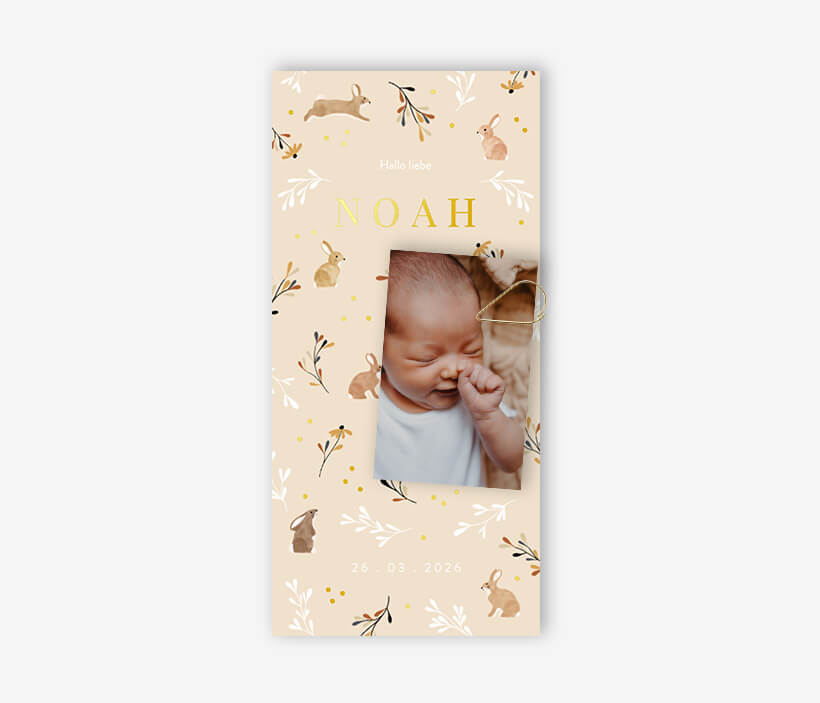 Faire-part de naissance avec lapins, branches et photo