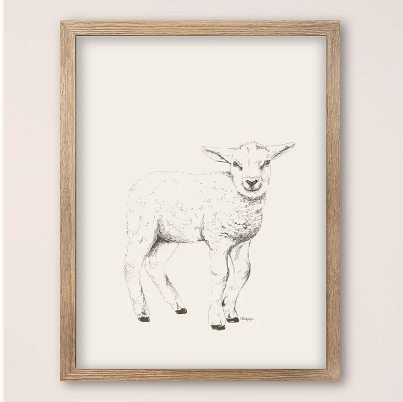 Dieren poster pentkening lammetje 