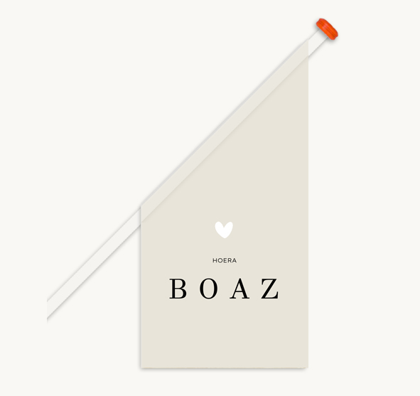 beige geboortevlag met naam