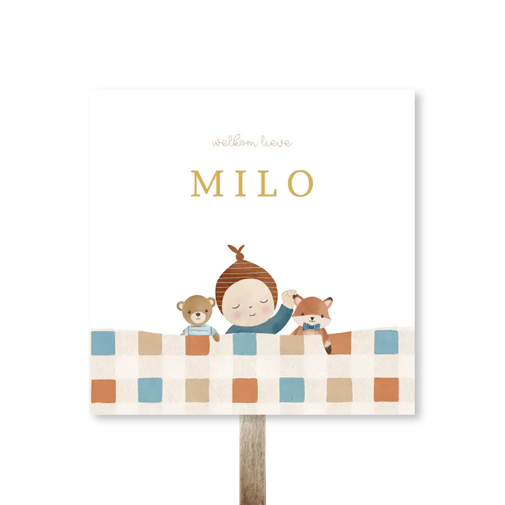 Tuinbord met jongen en knuffels