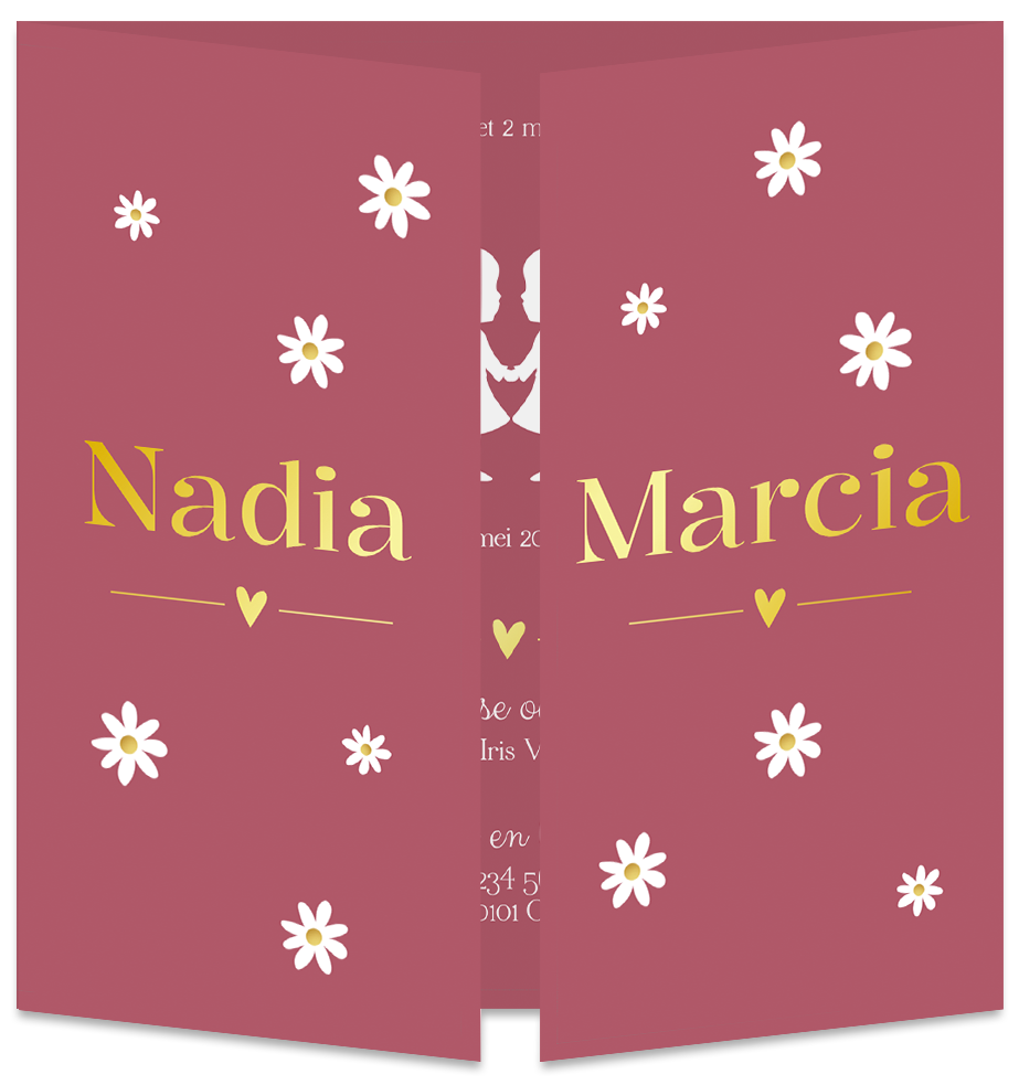 Geboortekaartje Tweeling Luikkaartje Madeliefjes Roze