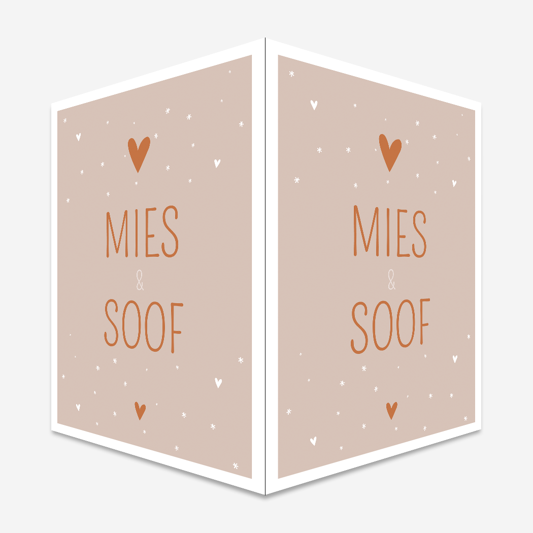 Raambord Geboortebord Tweeling Roze Hartjes