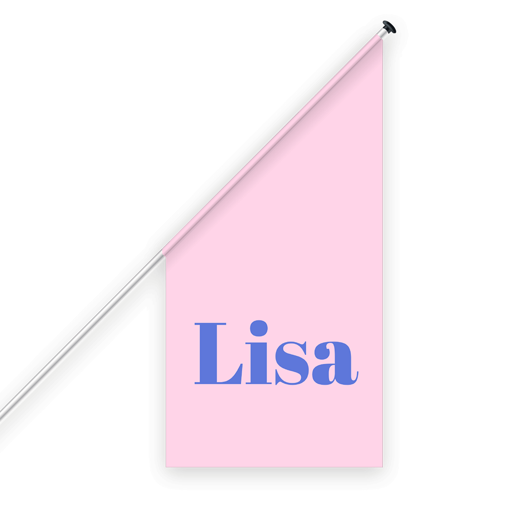 Geburtsfahne in Colorblocking mit rosa und lila