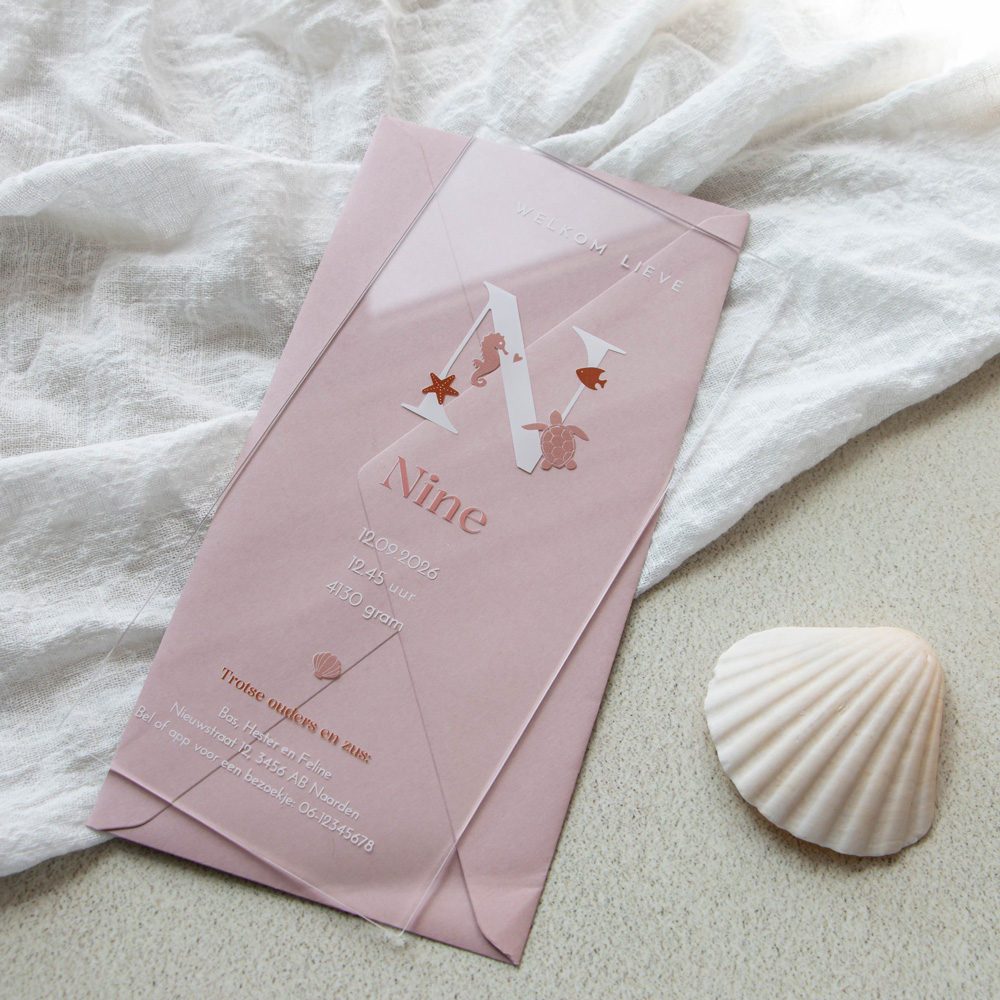 Geboortekaartje acryl meisje oceaan zeedieren