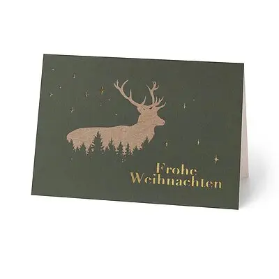 Hirsch im Wald 80621