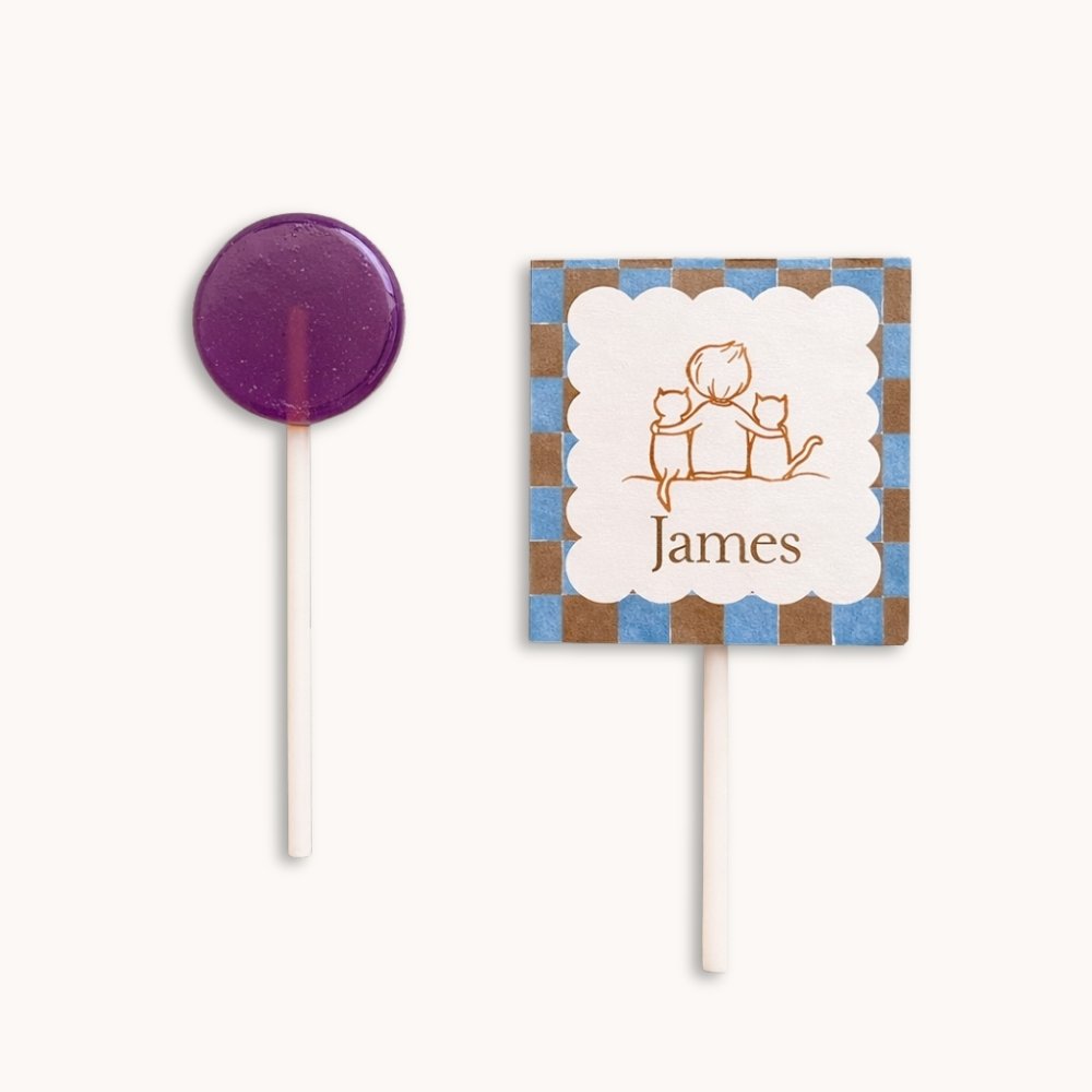 Doopsuiker lollyhoesje jongen 2 katten