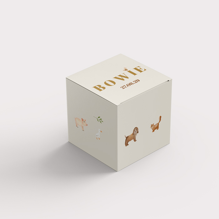 Doopsuikerdoosje met boerderijdieren