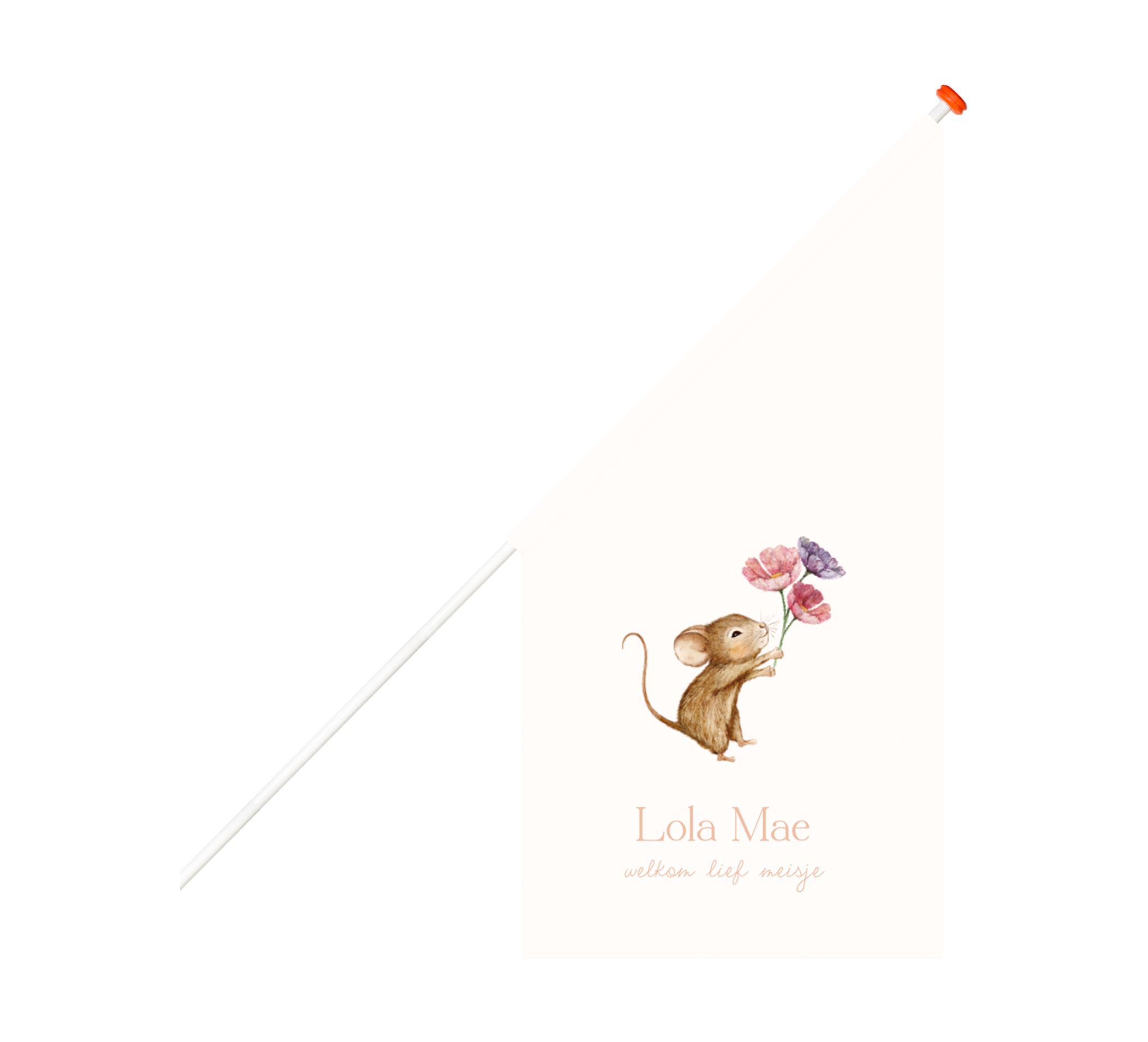 Geboortevlag met illustratie muisje en bloemen
