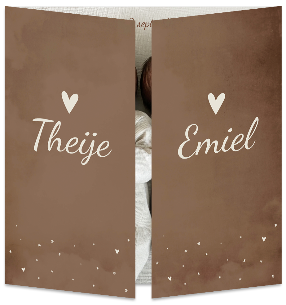Geboortekaartje Tweeling Luikkaartje Bruin Foto
