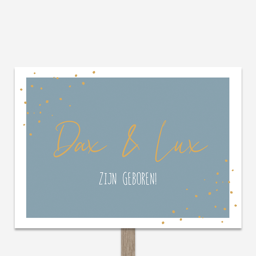 Tuinbord Geboorte Tweeling Blauw Stippen