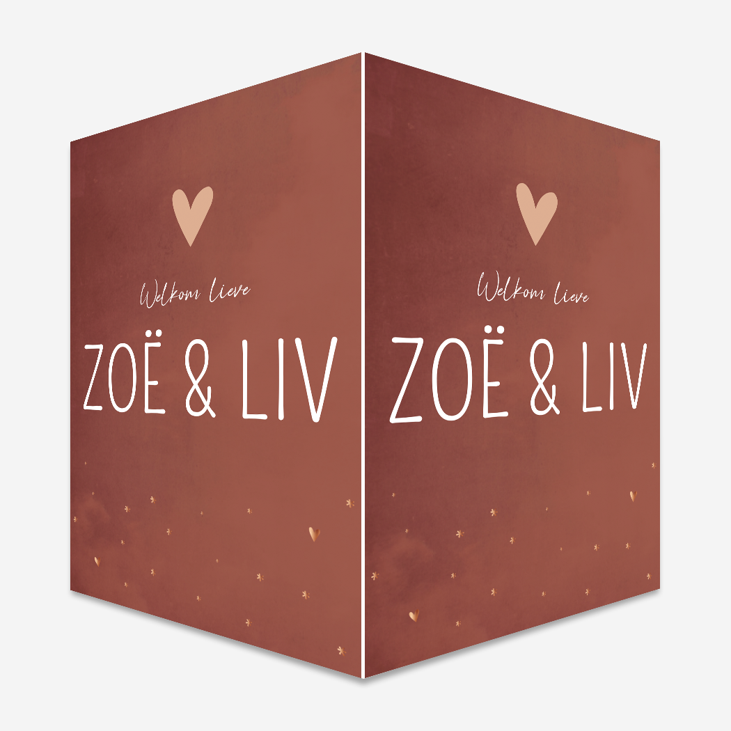 Raambord tweeling roestrood hartjes sterretjes