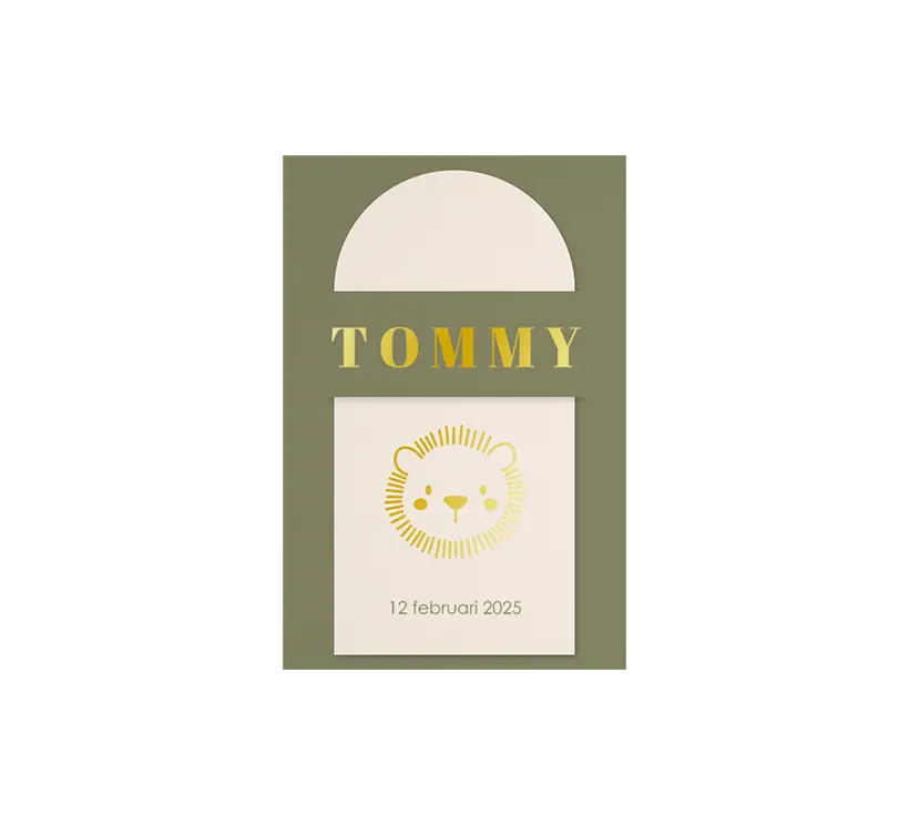 Avontuurlijk insteek geboortekaartje met goudfolie leeuwenhoofd