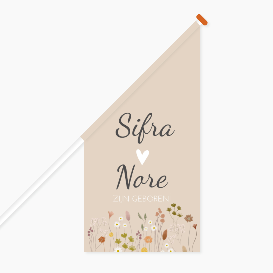 Vlag L Tweeling Roze Droogbloemen