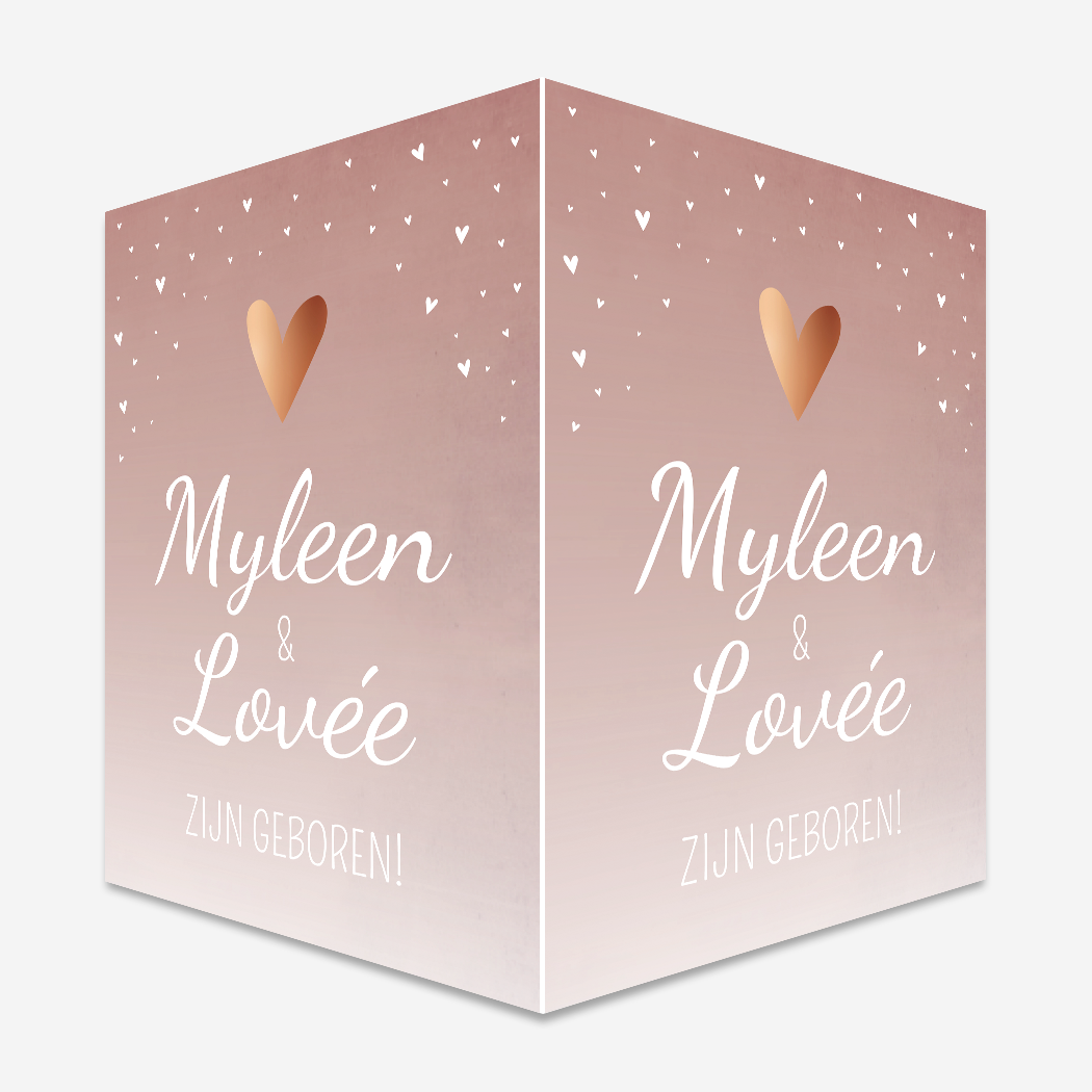 Raambord Geboortebord Roze Tweeling Romantisch