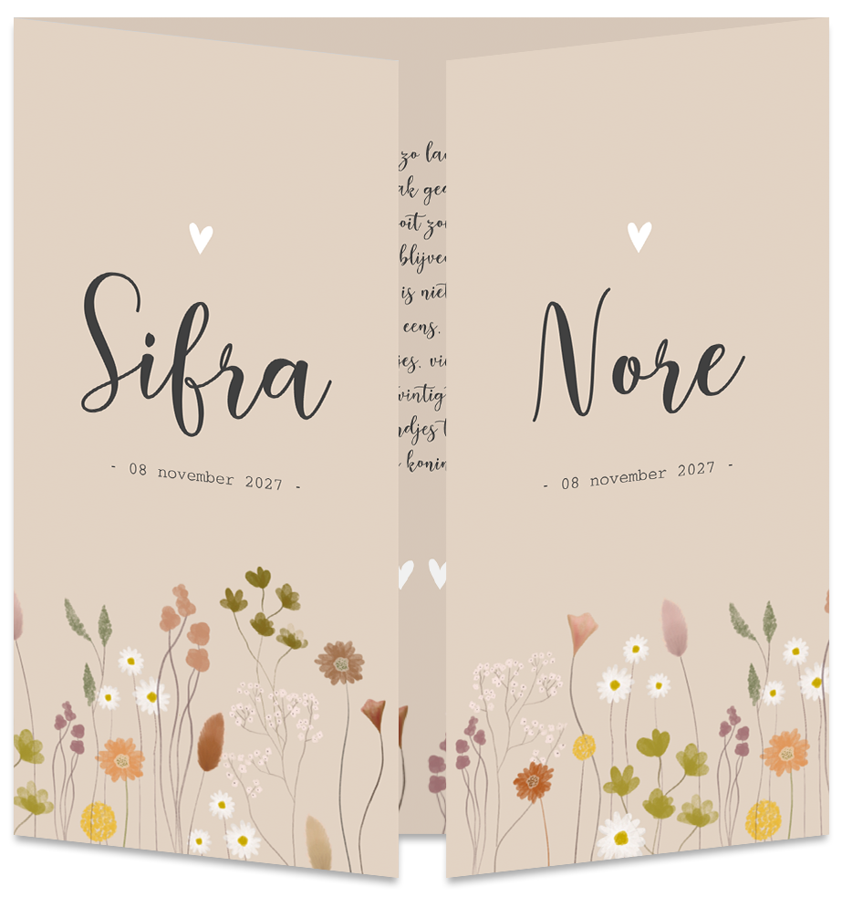 Geboortekaartje Tweeling Droogbloemen Beige