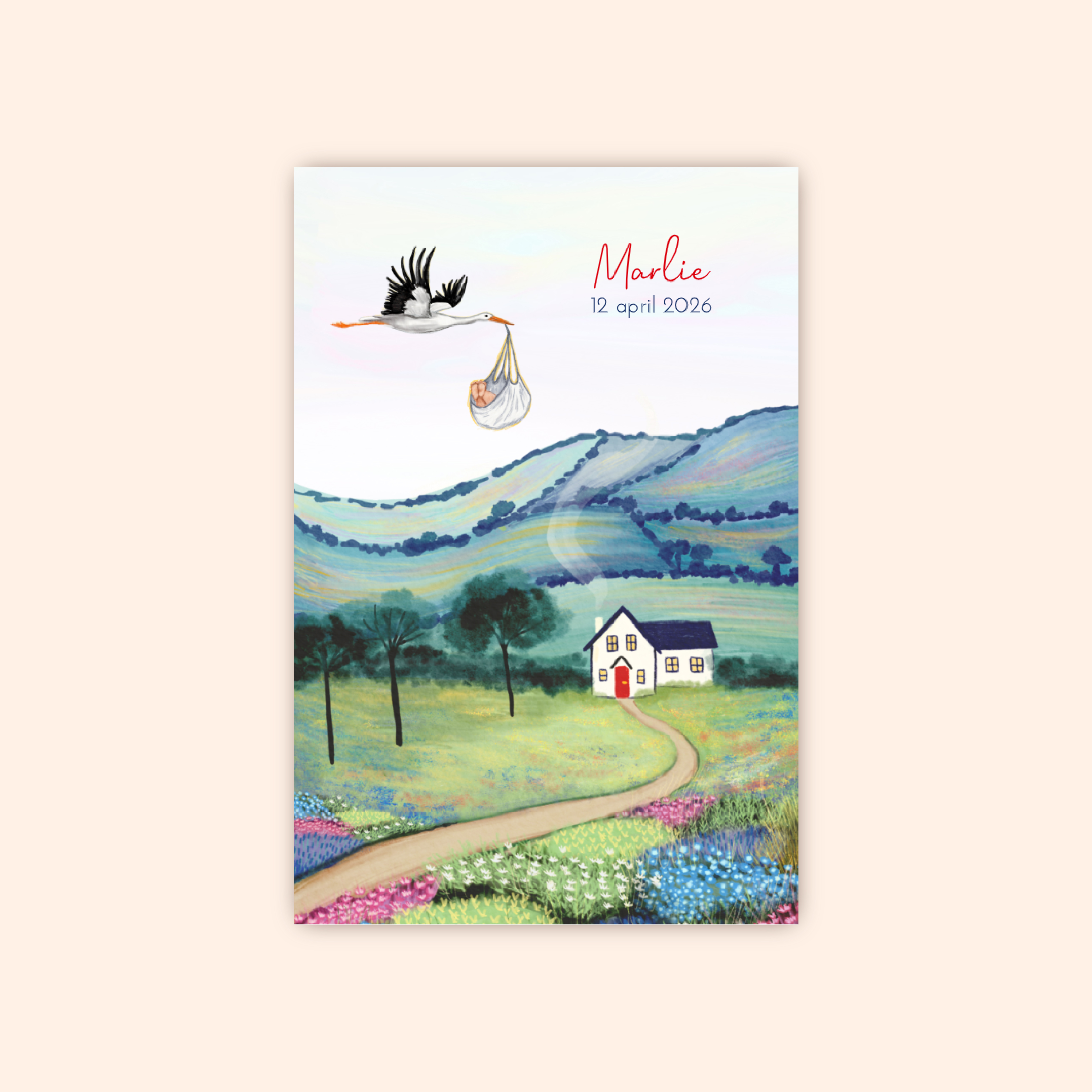 Geboortekaartje met huisje in een weidelandschap met ooievaar.